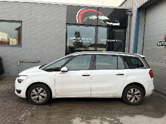 skadebil auto Citroën C4 CITROEN C4 1.6D AUTOMAAT 2016 7 ZIT 2016/6