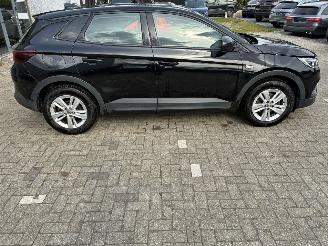 Opel Grandland OPEL GRANDLAND X 1.5D 2021 picture 13