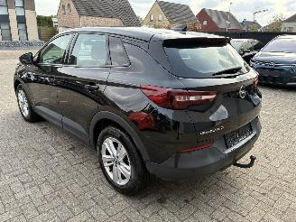 Opel Grandland OPEL GRANDLAND X 1.5D 2021 picture 16