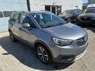 Opel Crossland OPEL CROSSLAND X 1.2I AUTOMAAT 2018 picture 14