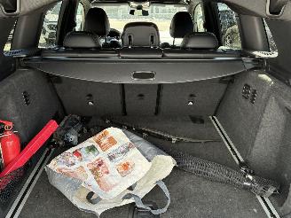 BMW X3 BMW X3 xDrive20d M 2018 picture 16