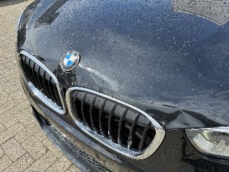 BMW X1 BMW X1 xDrive20d 2019 M picture 3