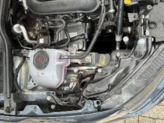 Seat Ibiza SEAT IBIZA 1.0I DSG 2026 picture 8