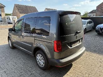 Volkswagen Caddy VW CADDY 2.0TDI 2019 picture 12