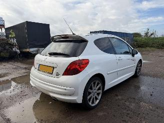 Peugeot 207 1.6-16V T Le Mans picture 10