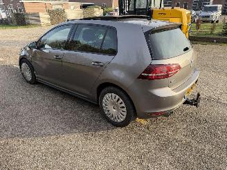 Volkswagen Golf 1.4 GTE NAP TREKHAAK PANO picture 12