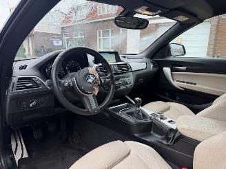 BMW 2-serie 218i M PAKKET CABRIO picture 18
