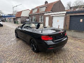 BMW 2-serie 218i M PAKKET CABRIO picture 22