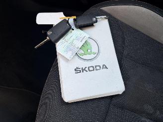 Skoda Scala 1.0 TSI Business Edition AUTOMAAT picture 13