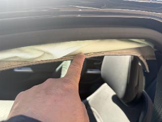 Mercedes E-klasse E220d LIMO AMG PANO picture 18