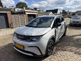 uszkodzony samochody osobowe BYD Dolphin Comfort 60.4 kWh NAP 2024/1