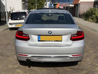 BMW 2-serie 220i Coupe Automaat picture 11