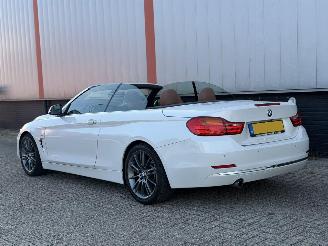 BMW 4-serie 420d Cabrio High Executive picture 26