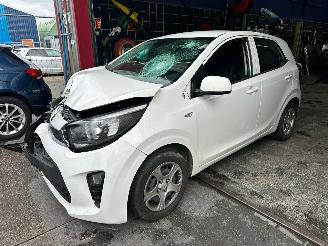  Kia Picanto  2019/3