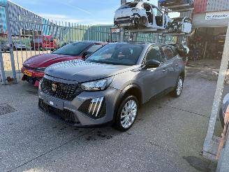 Vaurioauto  passenger cars Peugeot 2008 e-2008 II Active 2024/7