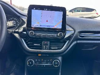 Ford Fiesta 1.0 EcoBoost / Panorama dak / picture 12