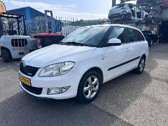  Skoda Fabia 1.2 TDI GREENLINE 2012/8