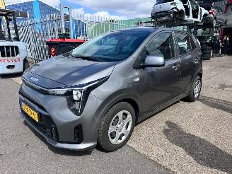 Unfallwagen Kia Picanto 1.0 DPI DYNAMICLINE 2024/12