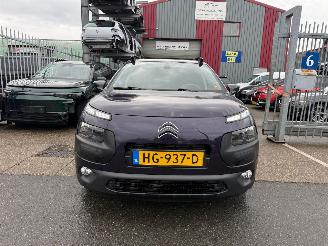 Citroën C4 cactus 1.2 SHINE picture 2