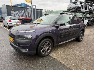 Citroën C4 cactus 1.2 SHINE picture 2