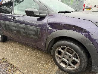Citroën C4 cactus 1.2 SHINE picture 18