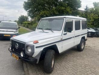 Voiture accidenté Mercedes G-klasse 290 GD LANG GRIJSKENTEKEN 1997/6