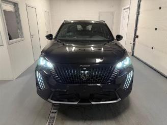 Peugeot 2008  picture 3