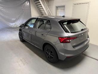 Skoda Fabia  picture 6