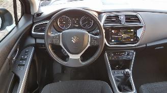 Suzuki S-Cross  picture 10