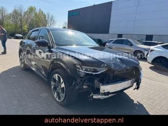 Audi E-tron 55 Quattro Advanced 300KW picture 5