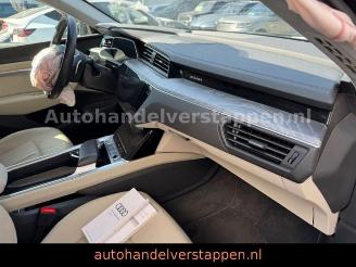 Audi E-tron 55 Quattro Advanced 300KW picture 17