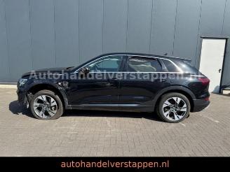 Audi E-tron 55 Quattro Advanced 300KW picture 8