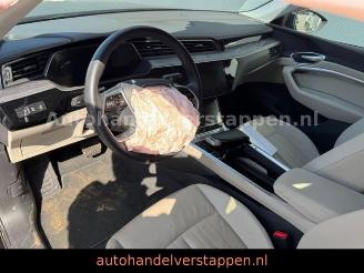 Audi E-tron 55 Quattro Advanced 95KWH B&O MATRIX picture 14