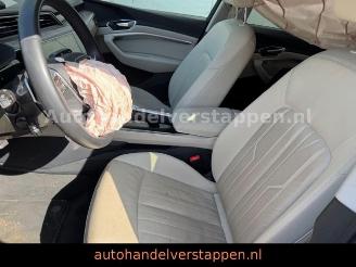 Audi E-tron 55 Quattro Advanced 95KWH B&O MATRIX picture 13