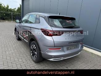 Schadeauto Opel Grandland X PHEV 165KW Hybrit 2023/11