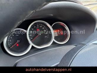 Dacia Sandero II Stepway Celebration picture 13