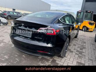 Tesla Model 3 Long Range Dual AWD picture 10