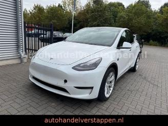 škoda osobní automobily Tesla Model Y Long Range Dual AWD Pano Leder 2022/8