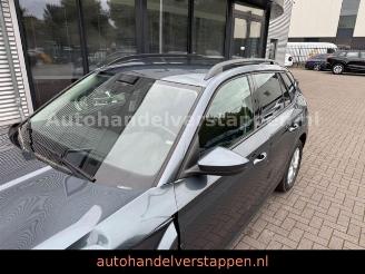 Skoda Kamiq 1.5 TSI 150PS 7-DSG Ambition picture 11