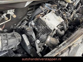 Volkswagen Transporter  picture 16