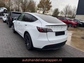  Tesla Model 3 Model Y Performance Dual AWD 393KW 2024/4