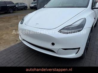 Tesla Model 3 Model Y Performance Dual AWD 393KW picture 10