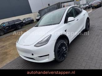 Schadeauto Tesla Model 3 Model Y Performance Dual AWD 393KW 2024/4