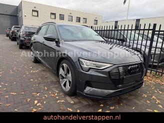 uszkodzony samochody osobowe Audi E-tron 55 Quattro Advanced 95KWH 2020/4