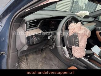 Audi Q8 e-tron 55 Quattro S line Panorama picture 31