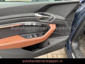 Audi Q8 e-tron 55 Quattro S line Panorama picture 37