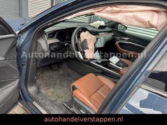 Audi Q8 e-tron 55 Quattro S line Panorama picture 29