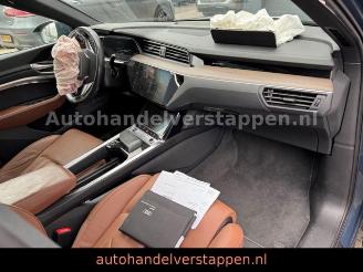 Audi Q8 e-tron 55 Quattro S line Panorama picture 43