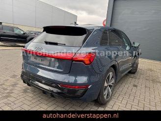 Audi Q8 e-tron 55 Quattro S line Pano 115KWH 300KW picture 2