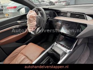 Audi Q8 e-tron 55 Quattro S line Panorama picture 42